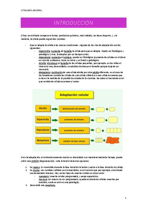 Miniatura del documento INTRODUCION.pdf