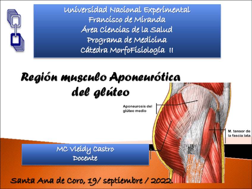 Miniatura del documento GLÚTEO.pdf