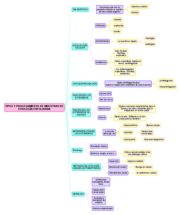 Miniatura del documento ANEXO-II.pdf