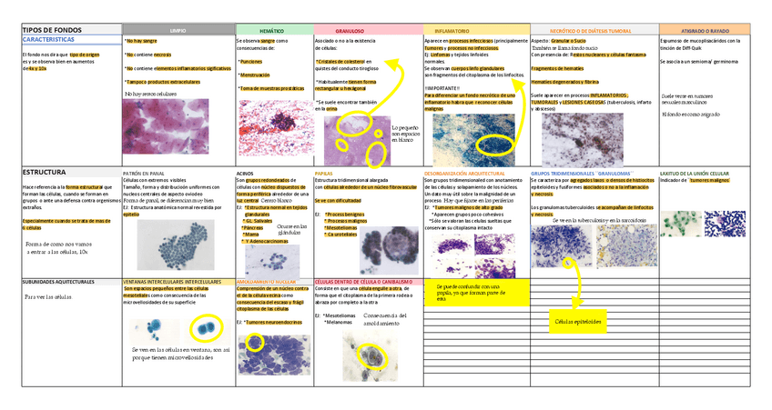 Miniatura del documento FONDOS-Y-ESTRUCTURAS.pdf