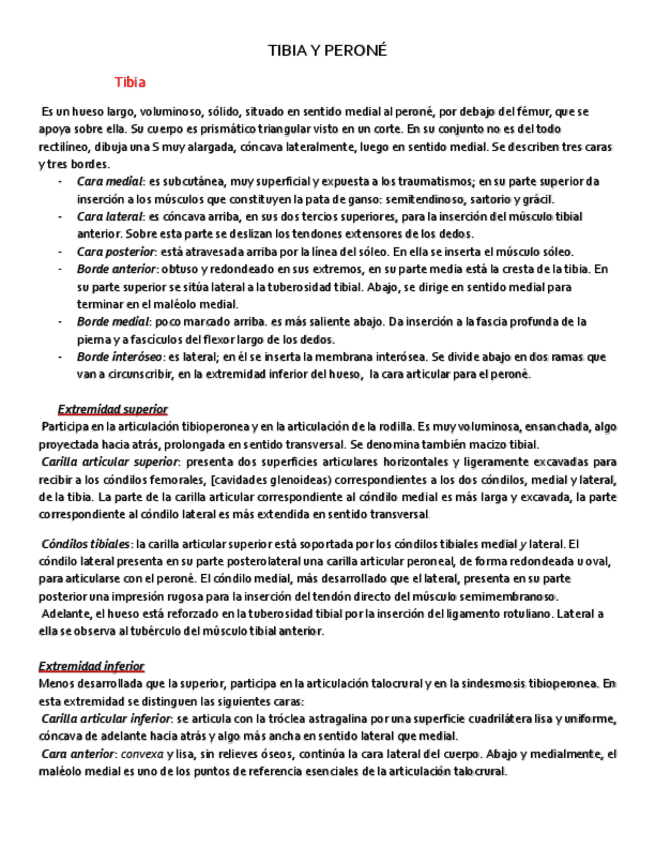 Miniatura del documento TIBIA Y PERONÉ.pdf
