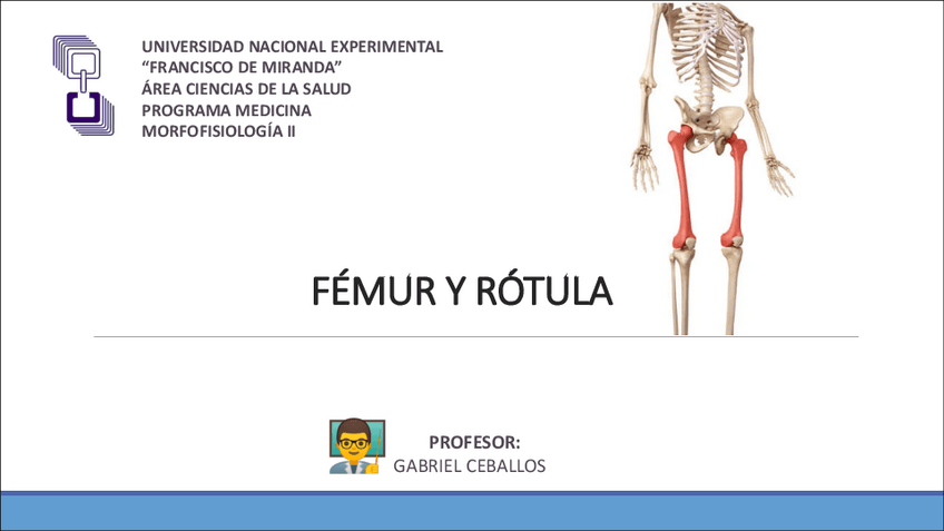 Miniatura del documento FÉMUR Y RÓTULA.pdf