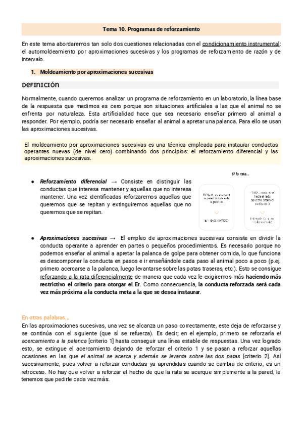 Miniatura del documento Tema-10.-Programas-de-reforzamiento.pdf