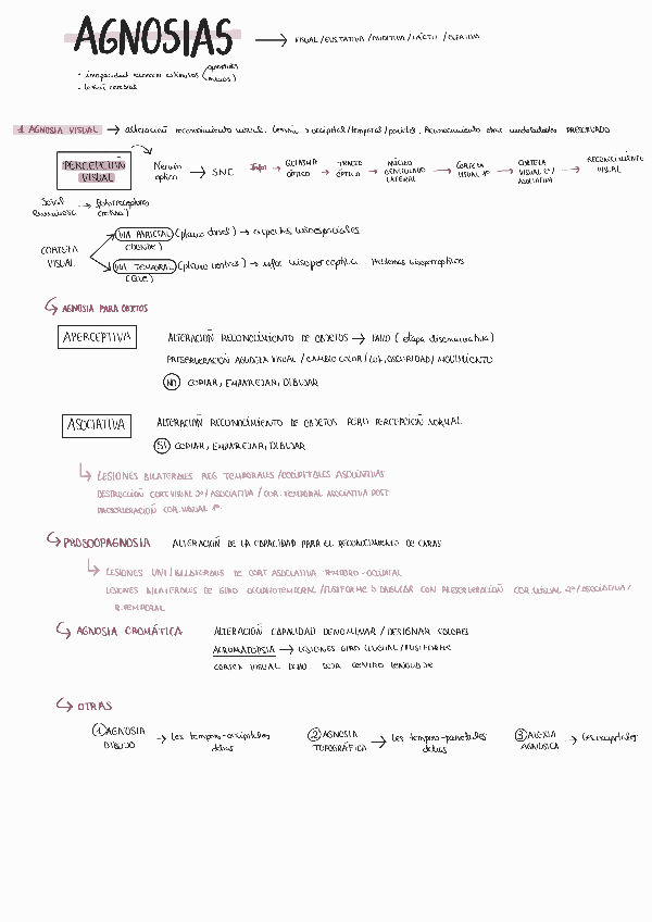 Miniatura del documento Agnosias.pdf