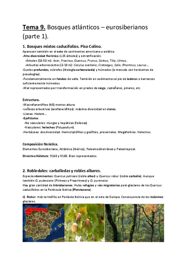 Miniatura del documento Tema-9.-Bosques-atlanticos-eurosiberianos-parte-1..pdf