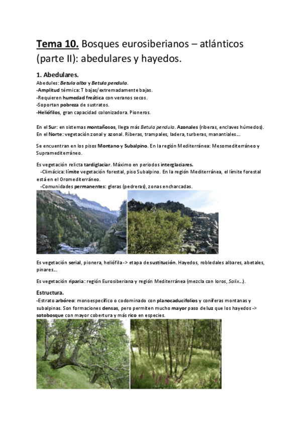Miniatura del documento Tema-10.-Bosques-eurosiberianos-atlanticos-parte-II-abedulares-y-hayedos..pdf