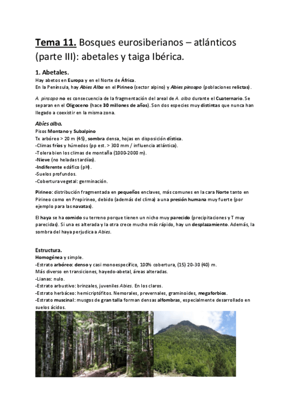 Miniatura del documento Tema-11.-Bosques-eurosiberianos-atlanticos-parte-III-abetales-y-taiga-Iberica..pdf