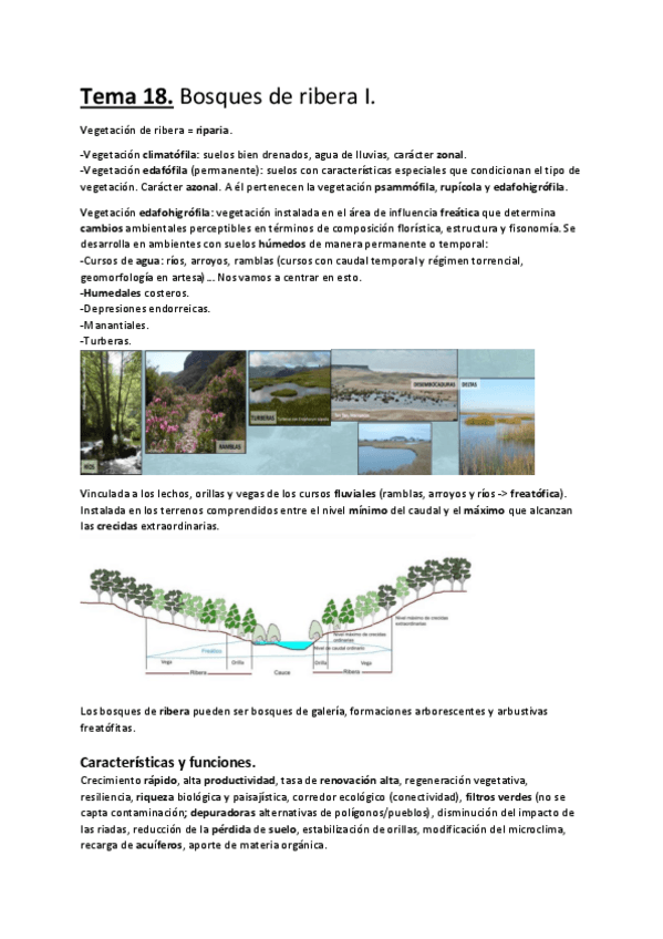 Miniatura del documento Tema-18.-Bosques-de-ribera-I..pdf