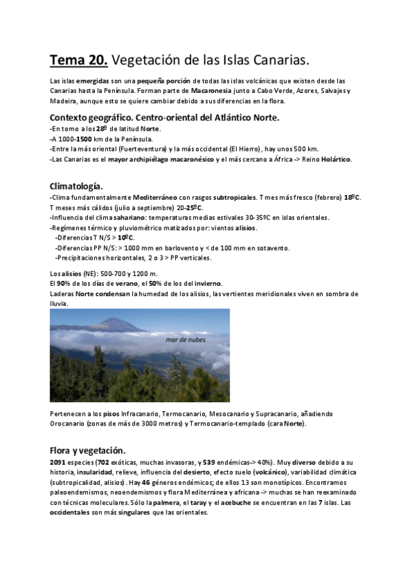 Miniatura del documento Tema-20.-Vegetacion-de-las-Islas-Canarias..pdf