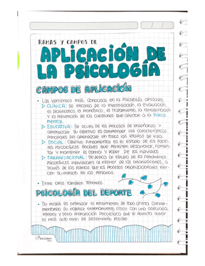 Miniatura del documento RAMAS-Y-CAMPOS-DE-LA-PSICOLOGIA.pdf