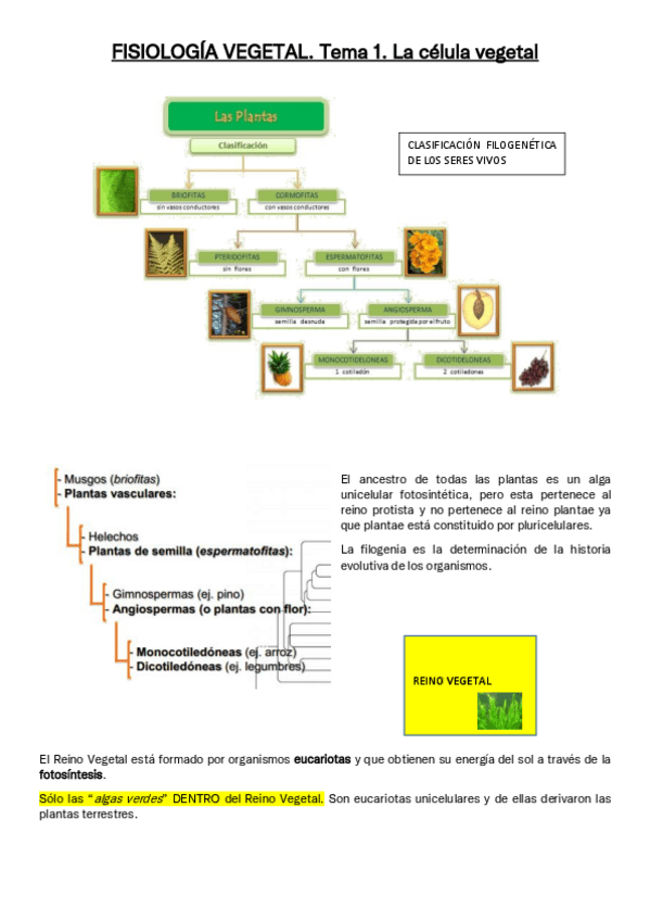 Miniatura del documento UNION-TEMAS-FISIO-VEG.pdf