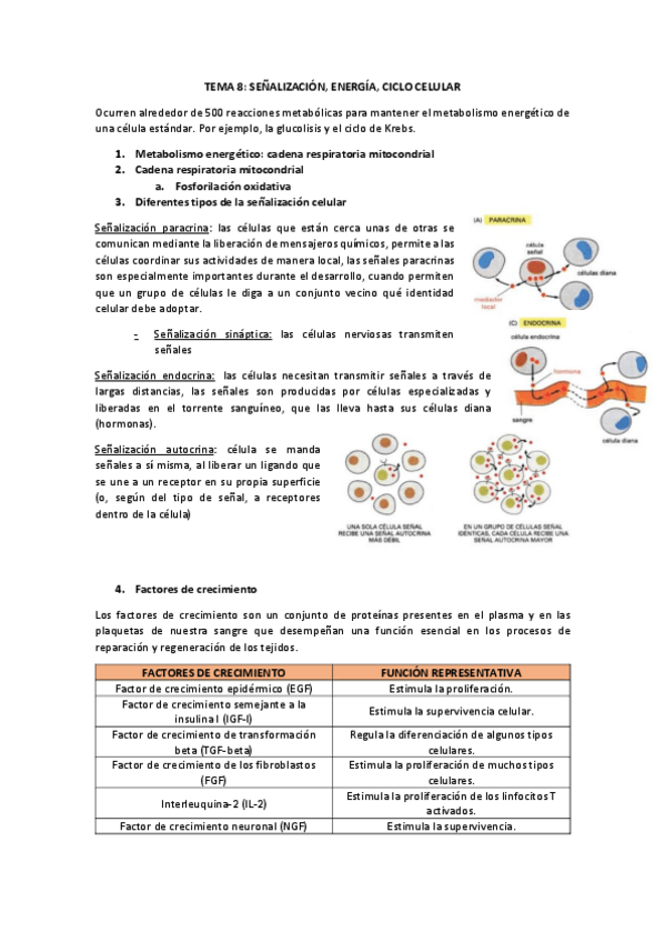 Miniatura del documento TEMA-8.pdf