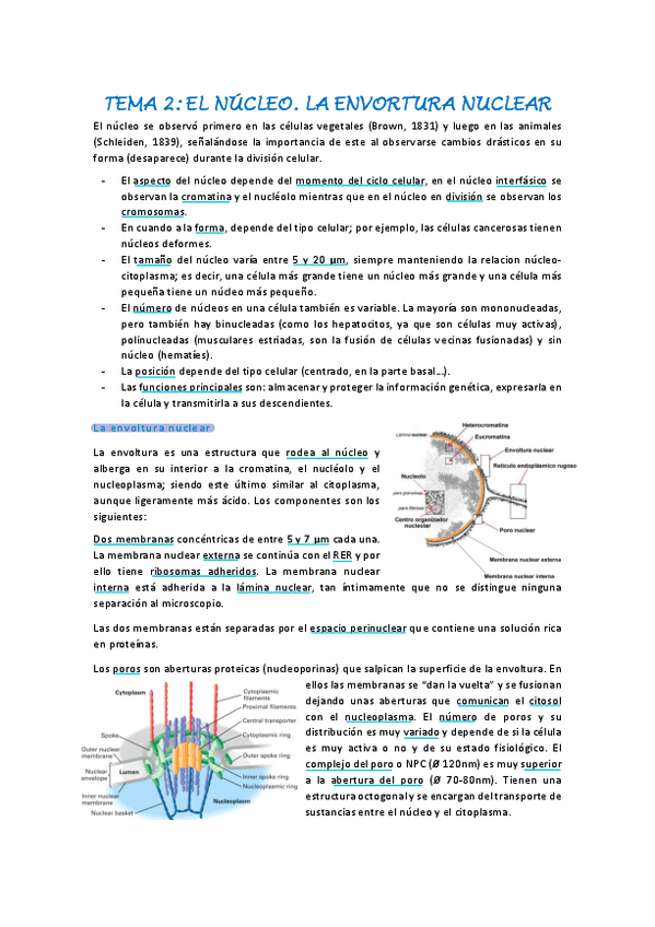 Miniatura del documento biologia-celular-tema-2.pdf