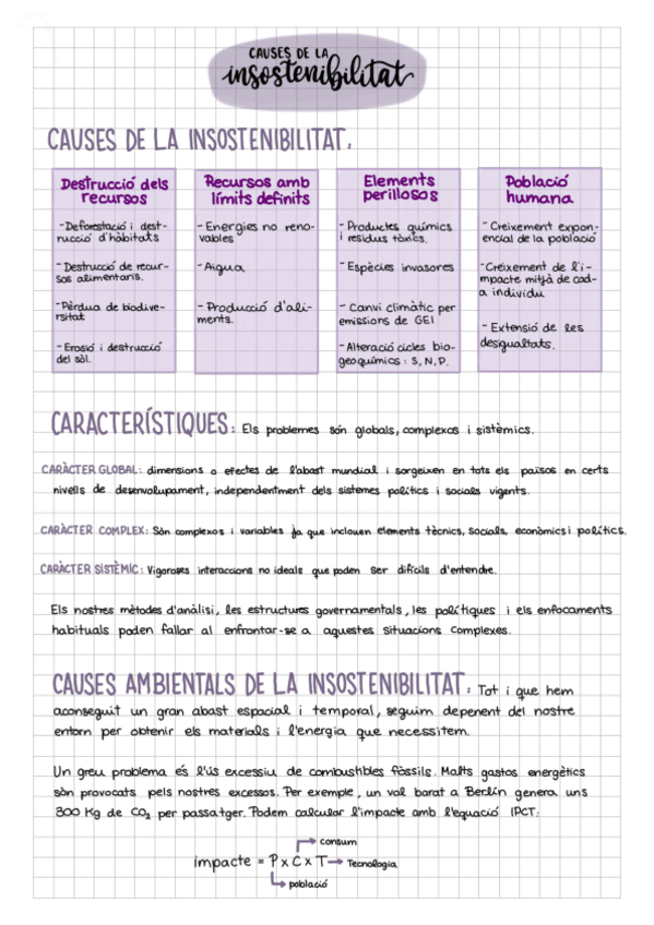 Miniatura del documento insostenibilitat.pdf