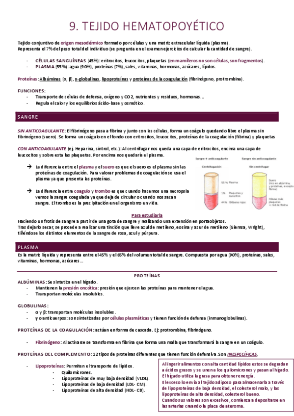 Miniatura del documento Tejido hematopoyético