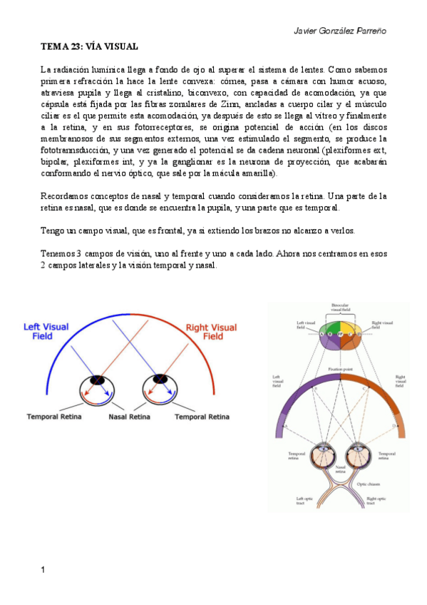 Miniatura del documento tema 23.pdf