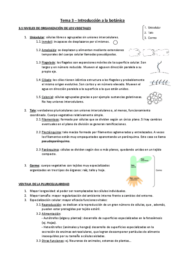 Miniatura del documento Tema-3-botanica.pdf