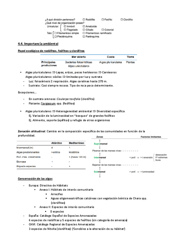 Miniatura del documento Tema-4B-botanica.pdf