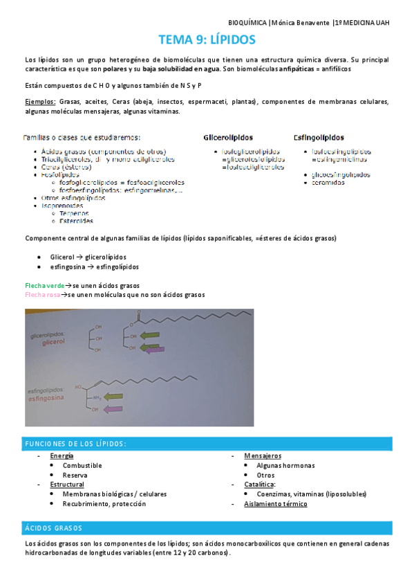 Miniatura del documento TEMA-9-Lipidos.pdf