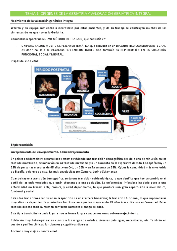 Miniatura del documento APUNTES-GERIATRIA-sinp.pdf