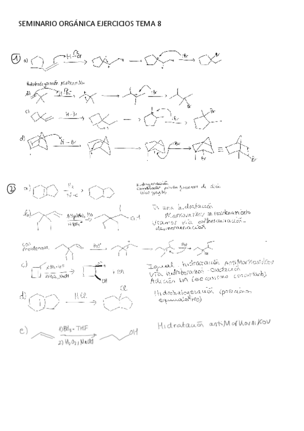 Miniatura del documento Seminario-8-organica.pdf
