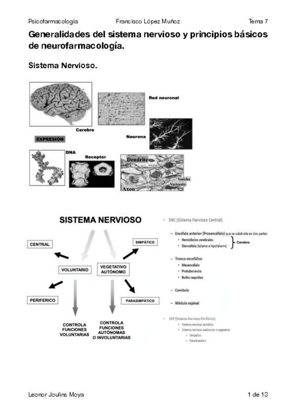 Miniatura del documento T7.-Psicofarma.pdf