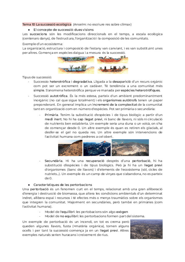 Miniatura del documento Tema10.pdf