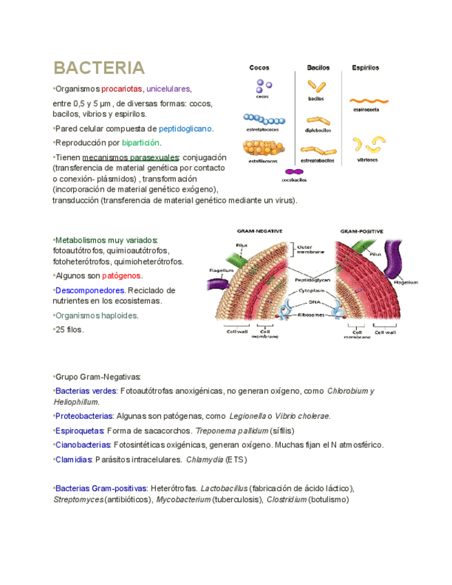 Miniatura del documento 3-dominios-6-reinos.pdf
