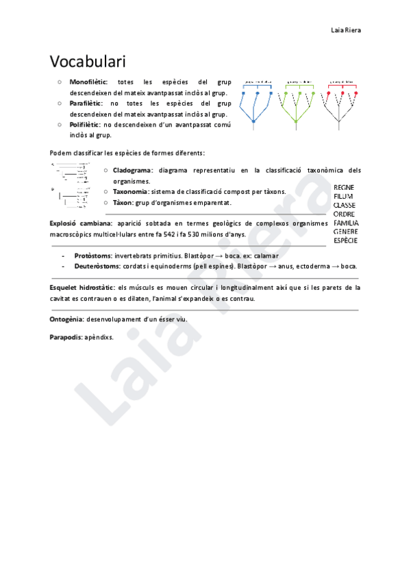 Miniatura del documento Vocabulari-metazoos.pdf