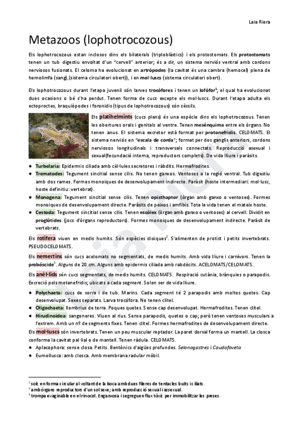 Miniatura del documento 6.4.-Metazoos-lophotrocozous.pdf