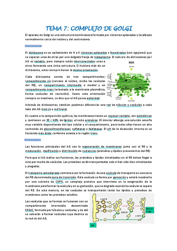 Miniatura del documento Biologia-celular-tema-7.pdf