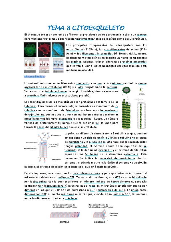 Miniatura del documento Biologia-celular-tema-8.pdf