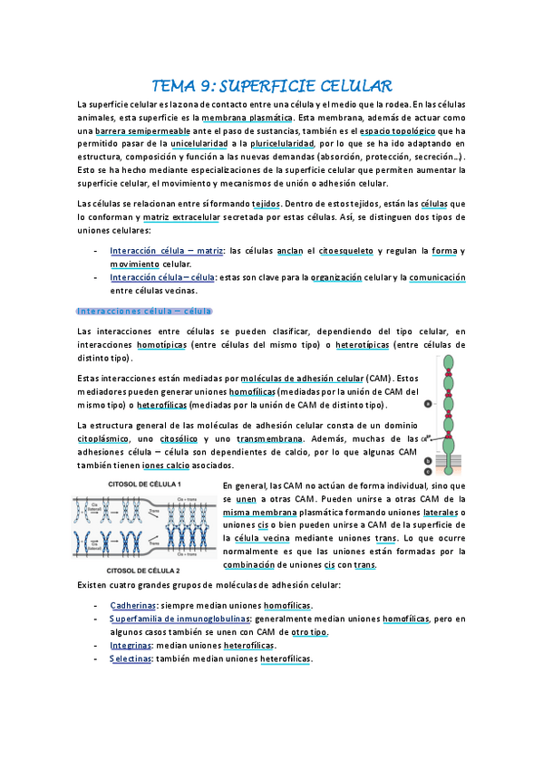 Miniatura del documento Biologia-celular-tema-9.pdf
