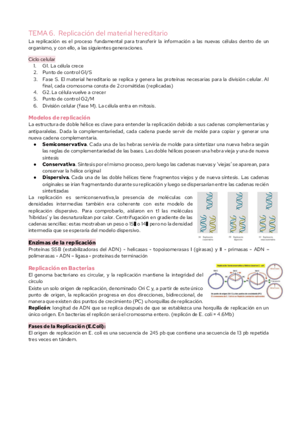 Miniatura del documento TEMA-6.-Replicacion-del-material-hereditario.pdf
