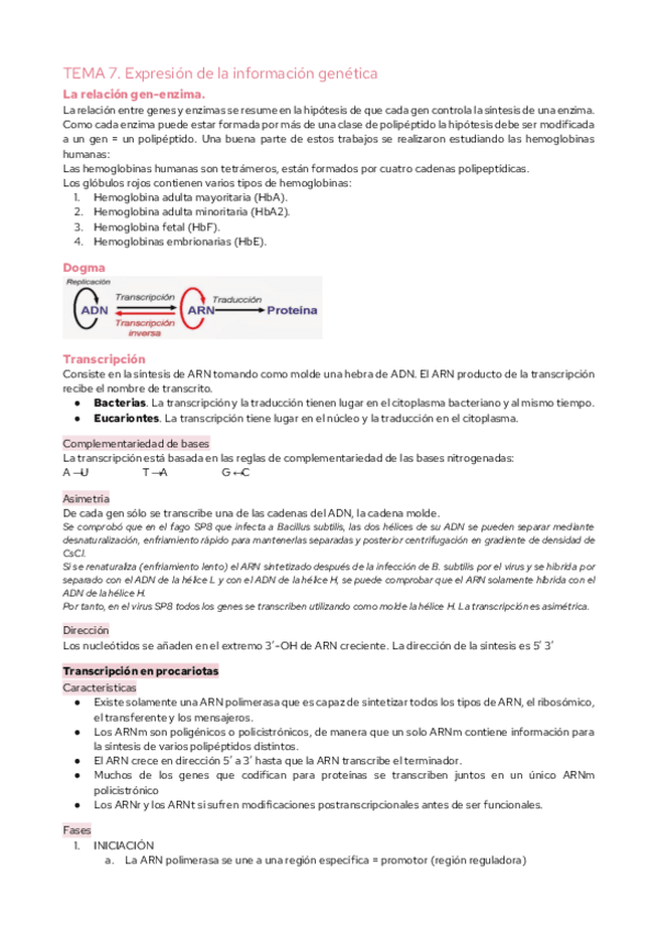Miniatura del documento TEMA-7.-Expresion-de-la-informacion-genetica.pdf