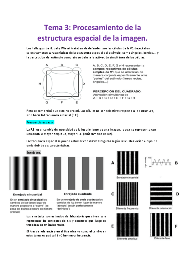 Miniatura del documento Tema-3.pdf
