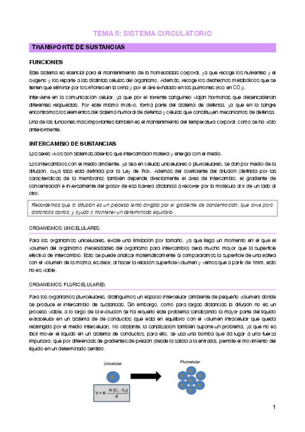 Miniatura del documento Tema 8 - Sistema circulatorio.pdf