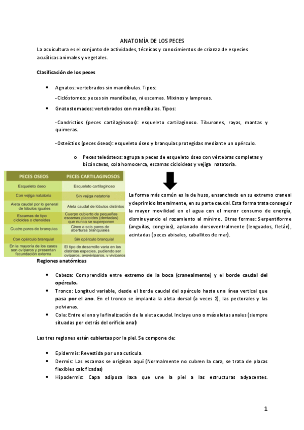Miniatura del documento ANATOMIA-DE-LOS-PECES.pdf