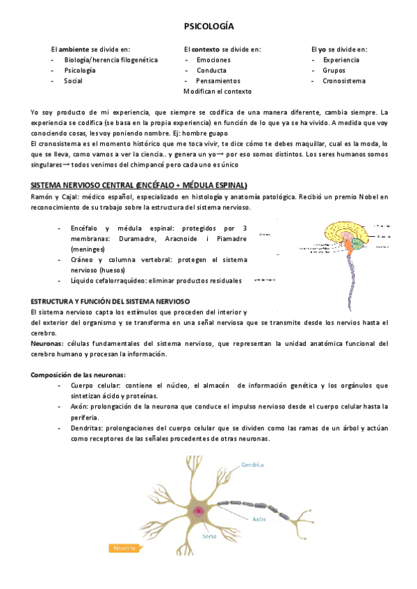 Miniatura del documento TEMA-1-DEFINICIONES-Y-AMBITOS-DE-LA-PSICOLOGIA.pdf