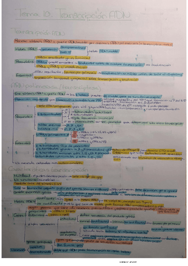 Miniatura del documento Tema 10 BQ.pdf