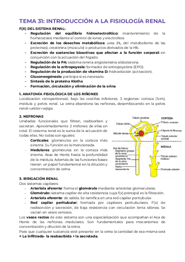 Miniatura del documento TODO-RENAL-RESUMIDO.pdf