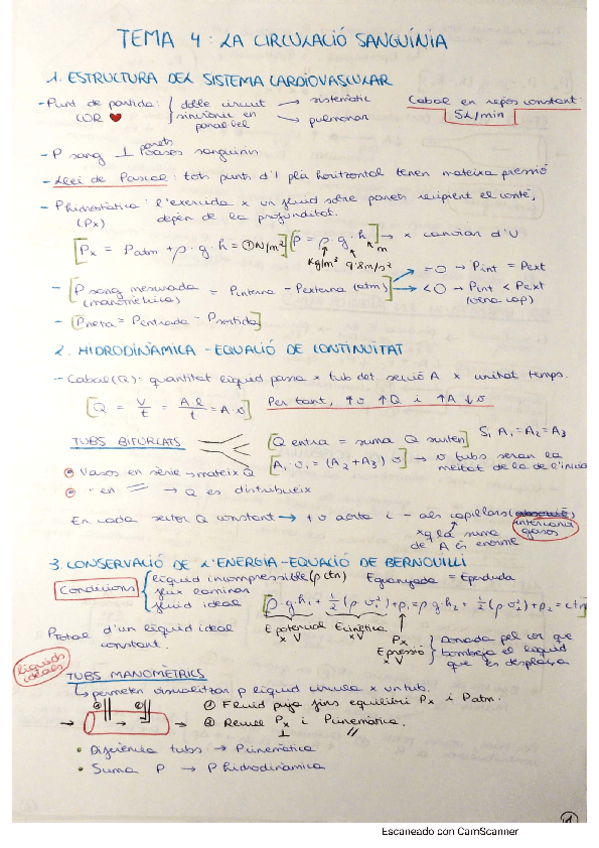 Miniatura del documento CIRCULACIO-SANGUINIA-BF.pdf