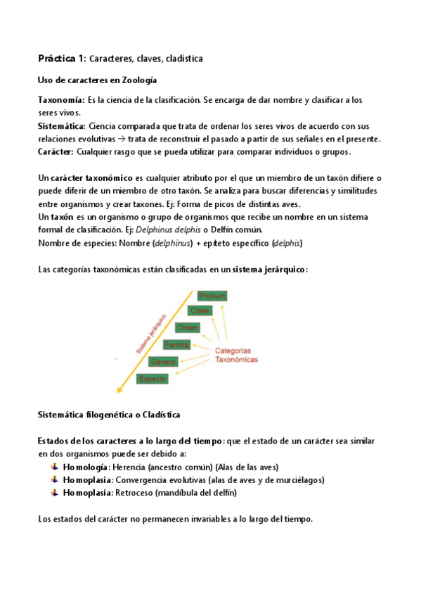 Miniatura del documento ZOOLOGÍA.pdf