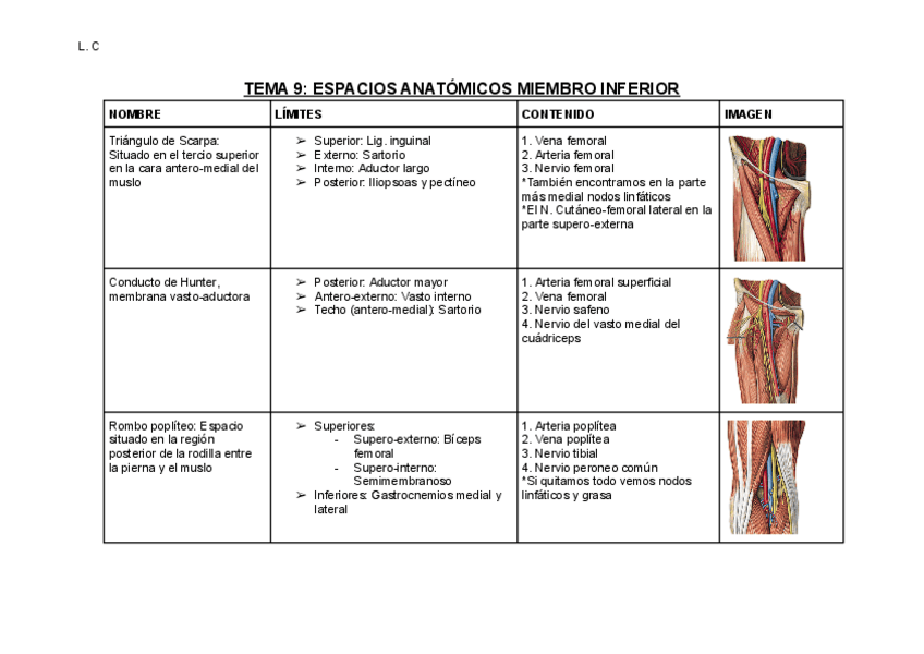 Miniatura del documento T9-Espacios anatómicos-M.-Inferior.pdf