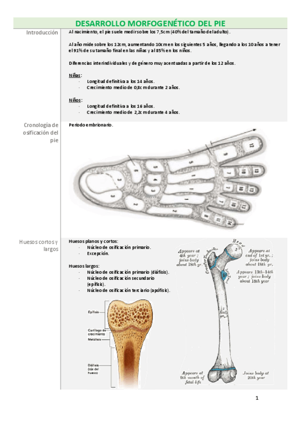 Miniatura del documento Tercer-parcial-Pediatria.pdf