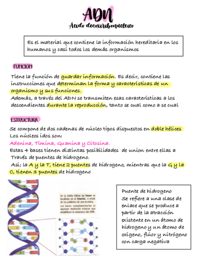 Miniatura del documento ADN.pdf