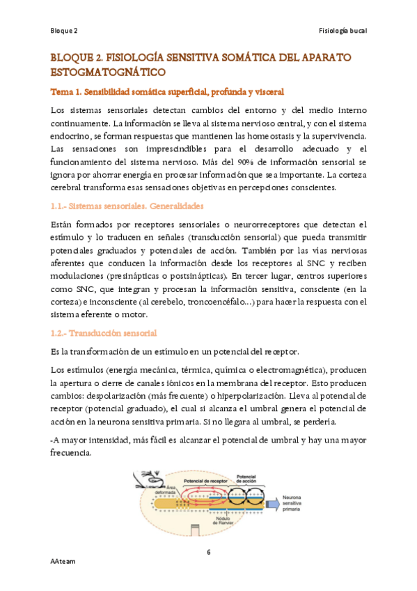 Miniatura del documento Bloque-2-Fisiologia-sensitiva-somatica-del-aparato-estomatognatico.pdf