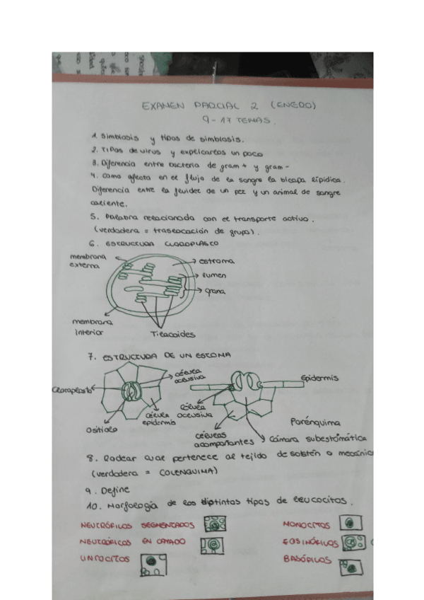 Miniatura del documento EXAMEN-ENERO-2023-BIOLOGIA-WUOLAH.pdf