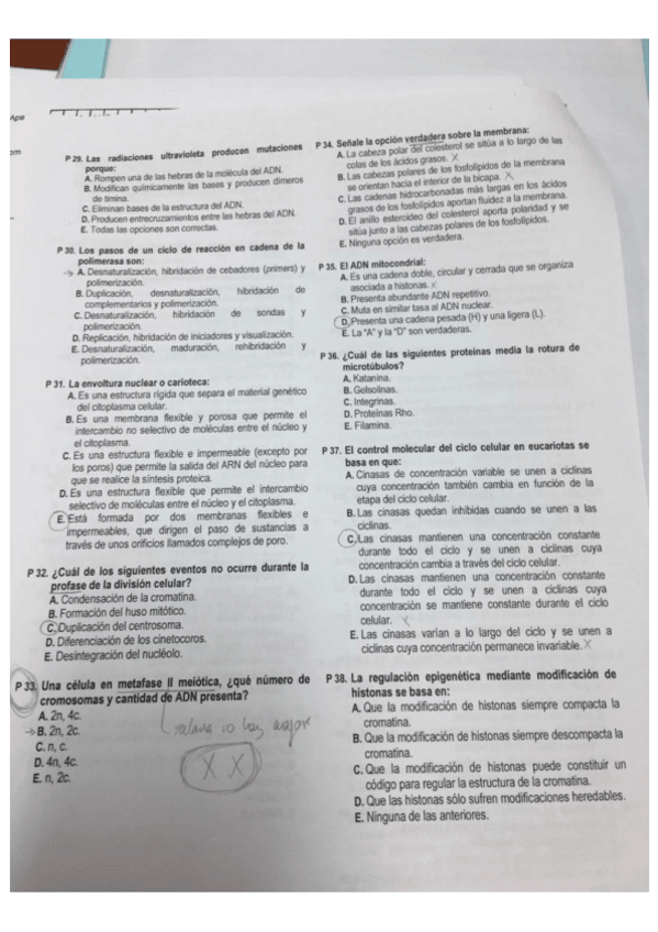 Miniatura del documento Examen-2019.pdf