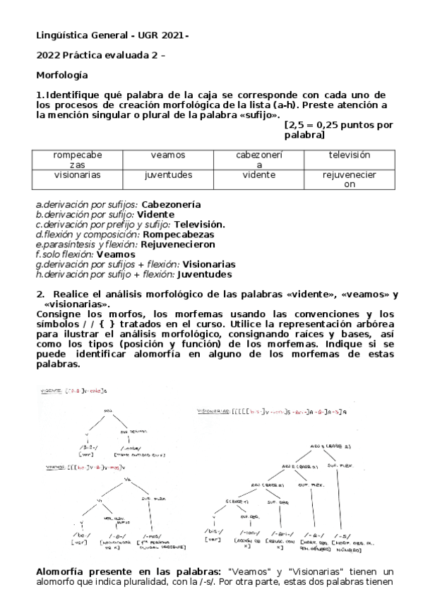 Miniatura del documento PRACTICA-EVALUADA-2.docx